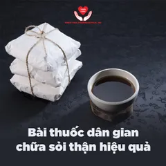 TOP 10 năm 2021 các bài thuốc dân gian chữa sỏi thận HIỆU QUẢ NHẤT