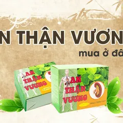 Hỏi đáp trả lời việc An Thận Vương mua ở đâu