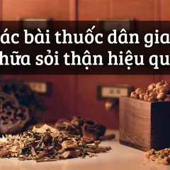 TỔNG HỢP 10+ Cách chữa sỏi thận bằng thuốc dân gian ĐẦY ĐỦ 2021