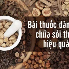 Chia sẻ SỔ TAY 20 cách chữa Sỏi Thận Tại Nhà mà hiệu quả