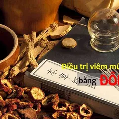 Cách trị viêm mũi dị ứng theo phương pháp Đông Y
