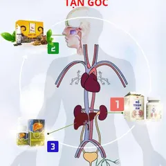 Thuốc chữa viêm xoang hiệu quả nhất HIỆN NAY 2021