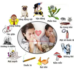 TOÀN BỘ về viêm xoang dị ứng thời tiết và CÁCH ĐIỀU TRỊ