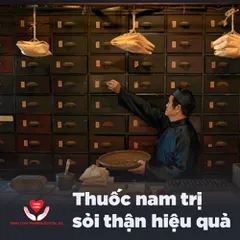 8 BÀI CÂY THUỐC nam trị sỏi thận HIỆU QUẢ CỰC CAO tự làm được