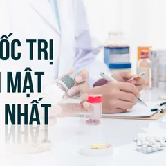 TỔNG HỢP ĐẦY ĐỦ #1 Thuốc trị sỏi mật tốt nhất là loại thuốc nào?