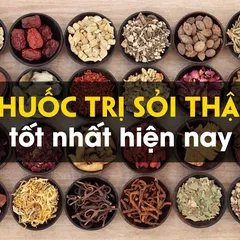 TOP các loại thuốc trị sỏi thận TỐT NHẤT hiện nay 2021