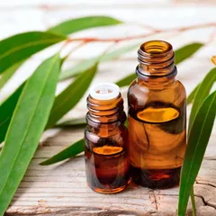 10 loại Tinh Dầu trị viêm xoang từ Thảo Dược bạn không nên bỏ qua