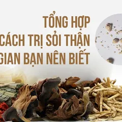 TỔNG HỢP CHI TIẾT 20 cách trị sỏi thận tại nhà bằng thảo dược 100% AN TOÀN