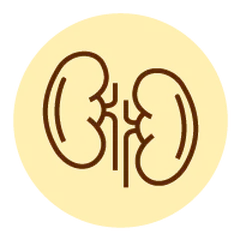 Điều trị Sỏi thận, Sỏi mật