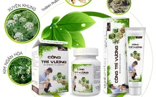 Công Trĩ Vương