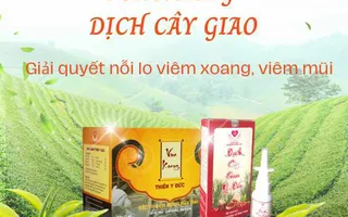 Thuốc xịt cây giao trị viêm xoang viêm mũi