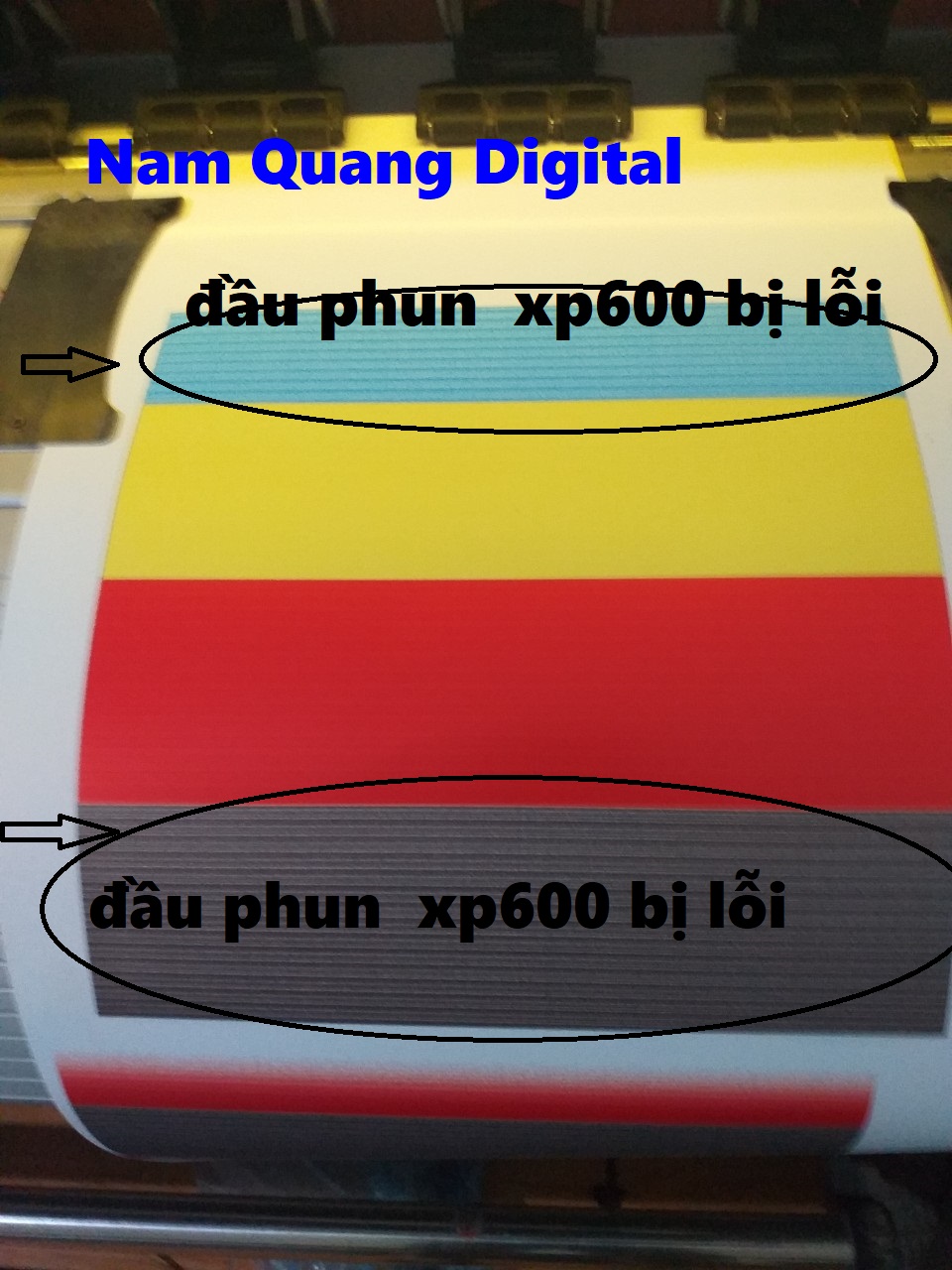 phục hồi đầu phun xp600