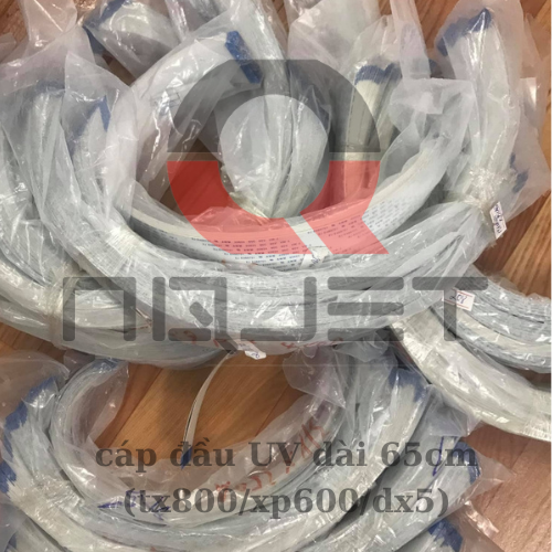 cáp đầu phun UV - UVDTF tx800/xp600 dài 65cm cáp đầu phun UV - UVDTF tx800/xp600 dài 65cm
