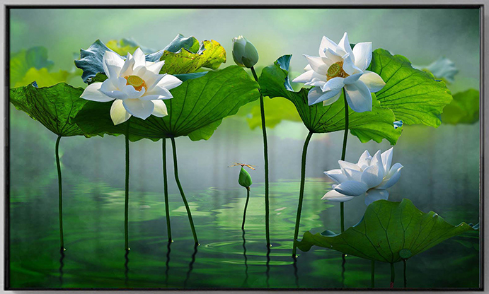 Tranh in bằng máy in tranh Canvas khổ nhỏ Tranh in bằng máy in tranh Canvas khổ nhỏ