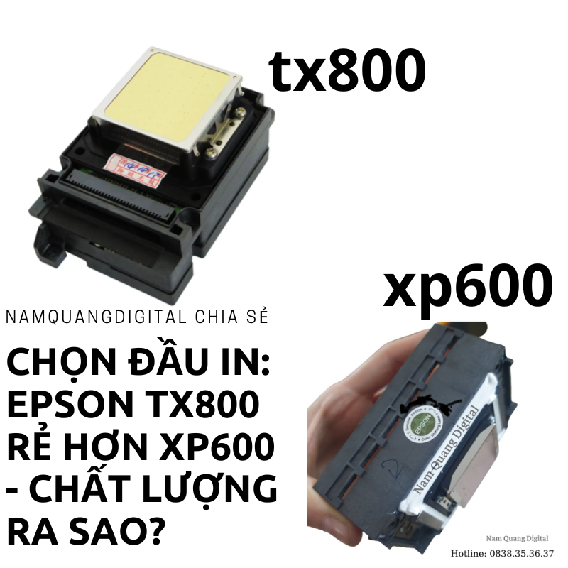 Chọn Đầu In: Epson TX800 Rẻ Hơn XP600 - Chất Lượng Ra Sao? Chọn Đầu In: Epson TX800 Rẻ Hơn XP600 - Chất Lượng Ra Sao?