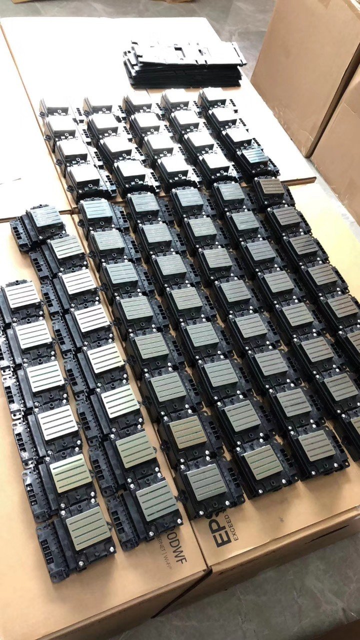 Cung cấp màn pét- mực pét-bột rắc-mực trắng giá sỉ - lẻ tphcm Cung cấp màn pét- mực pét-bột rắc-mực trắng giá sỉ - lẻ tphcm