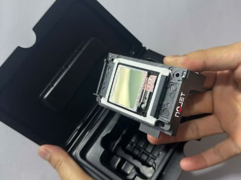 Đầu in XP600 bị nghẹt màu, mất nét phải làm sao?