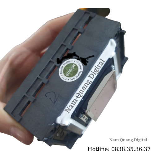 Đầu in dx10/dx11/xp600 sử dụng máy in bạt Hongying, xkeda, starjet,NQJET,Locor,Alwin Đầu in dx10/dx11/xp600 sử dụng máy in bạt Hongying, xkeda, starjet,NQJET,Locor,Alwin