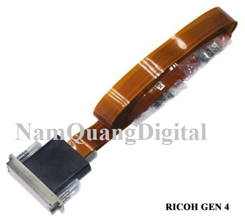 Đầu Phun Ricoh Gen 5 Chính Hãng Đầu Phun Ricoh Gen 5 Chính Hãng