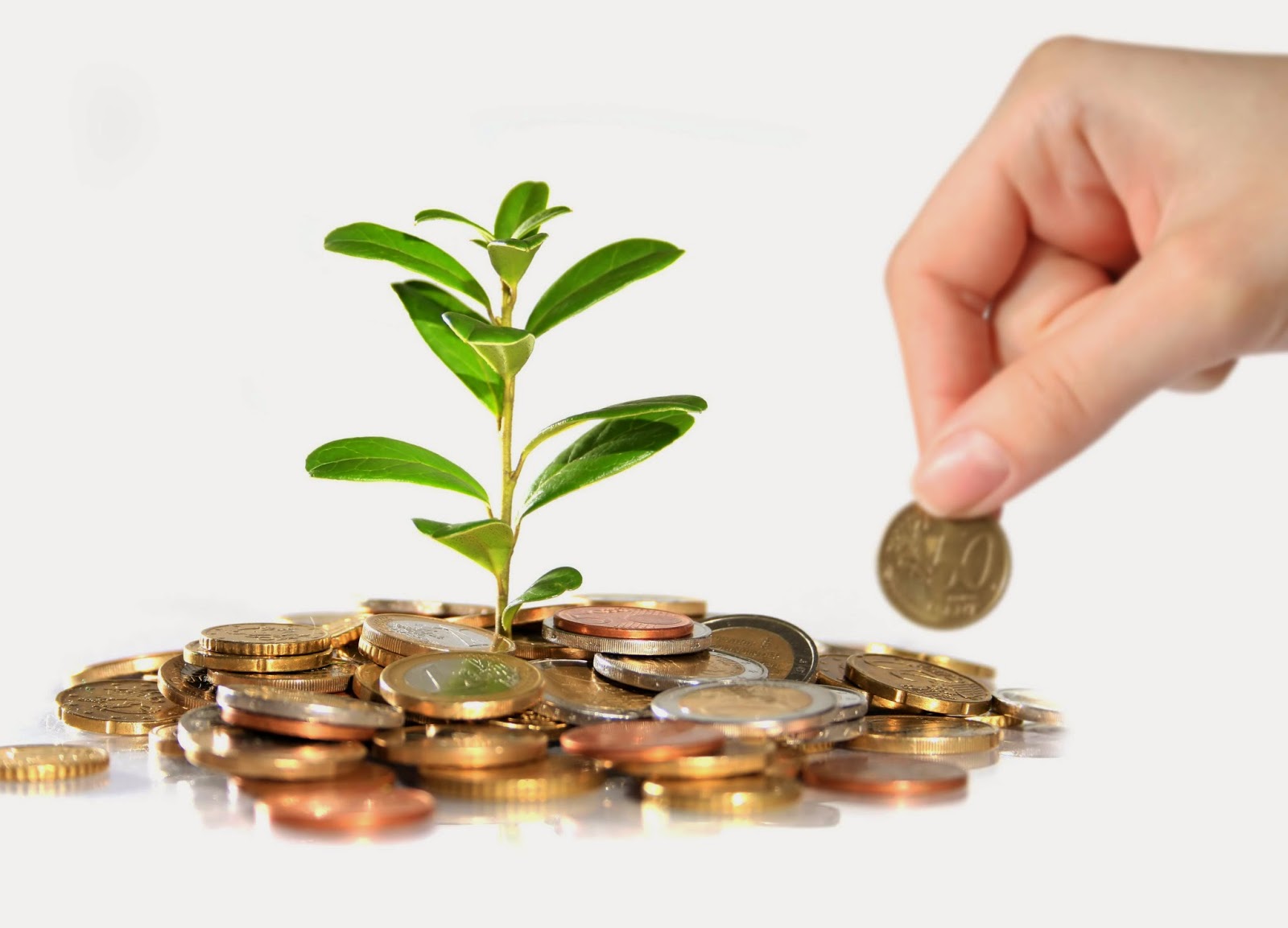 dòng máy in bạt nào chất lượng hiện nay khổ 1.8m