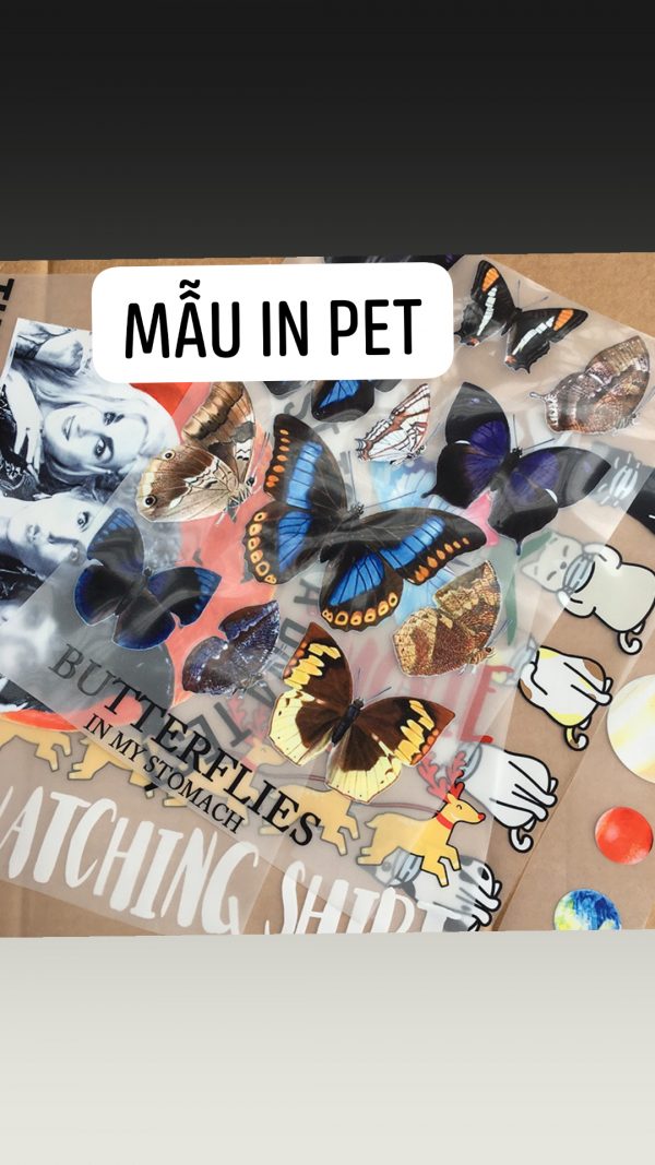 mưc dầu in pét mưc dầu in pét