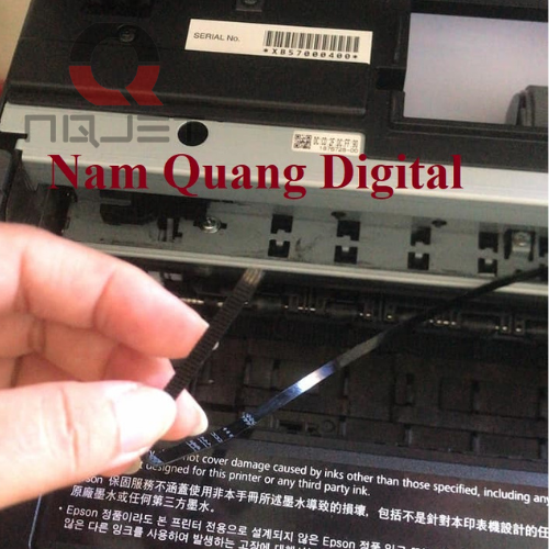 Thay dây epson curoa L8050/L18050 giá bao nhiêu Thay dây epson curoa L8050/L18050 giá bao nhiêu