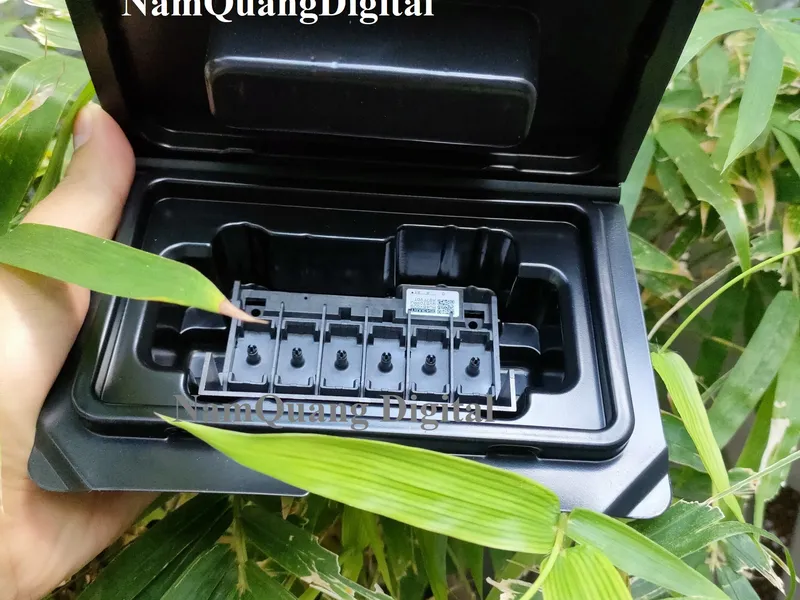 Đầu phun khổ lớn xp600 in được bao nhiêu mét vuông bạt sẽ hư