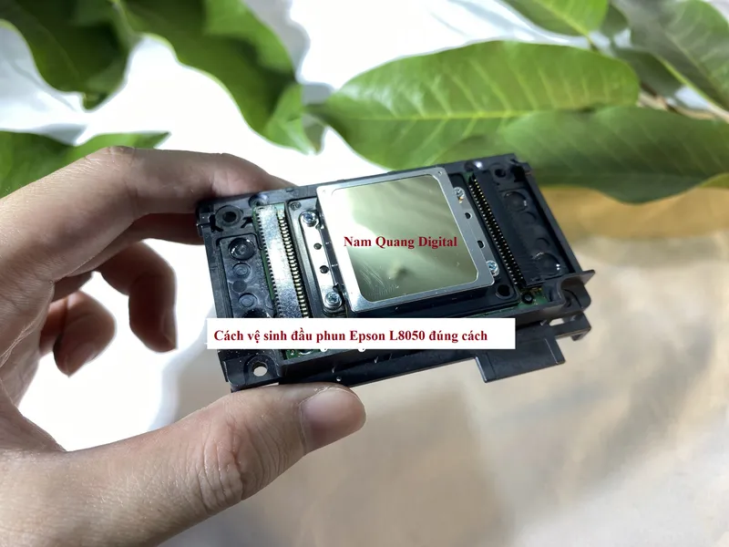 Cách vệ sinh đầu phun Epson L8050