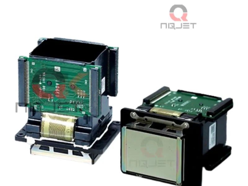 Đầu dx7 sử dụng máy in Mutoh