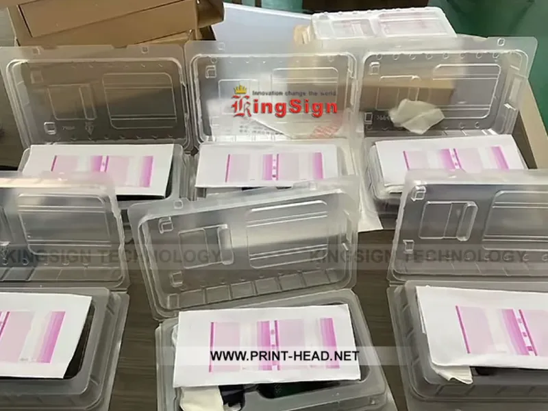 Hướng Dẫn Xử Lý Đầu In Ricoh UV Gen 5 Bị Sọc