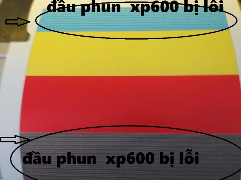 Sửa chữa máy in phun màu khổ lớn  A0-A1-A2 uy tín chuyên nghiệp