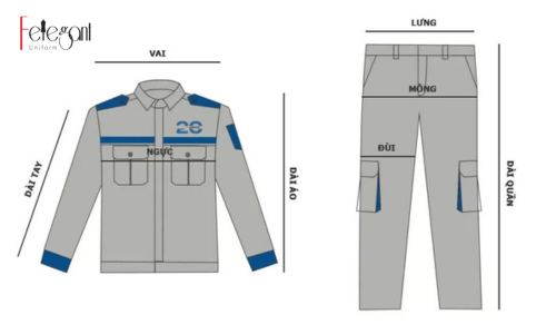 Cách đo cơ thể để lấy size đồng phục bảo hộ lao động nam nữ tại Đồng phục Felegant Cách đo cơ thể để lấy size đồng phục bảo hộ lao động nam nữ tại Đồng phục Felegant