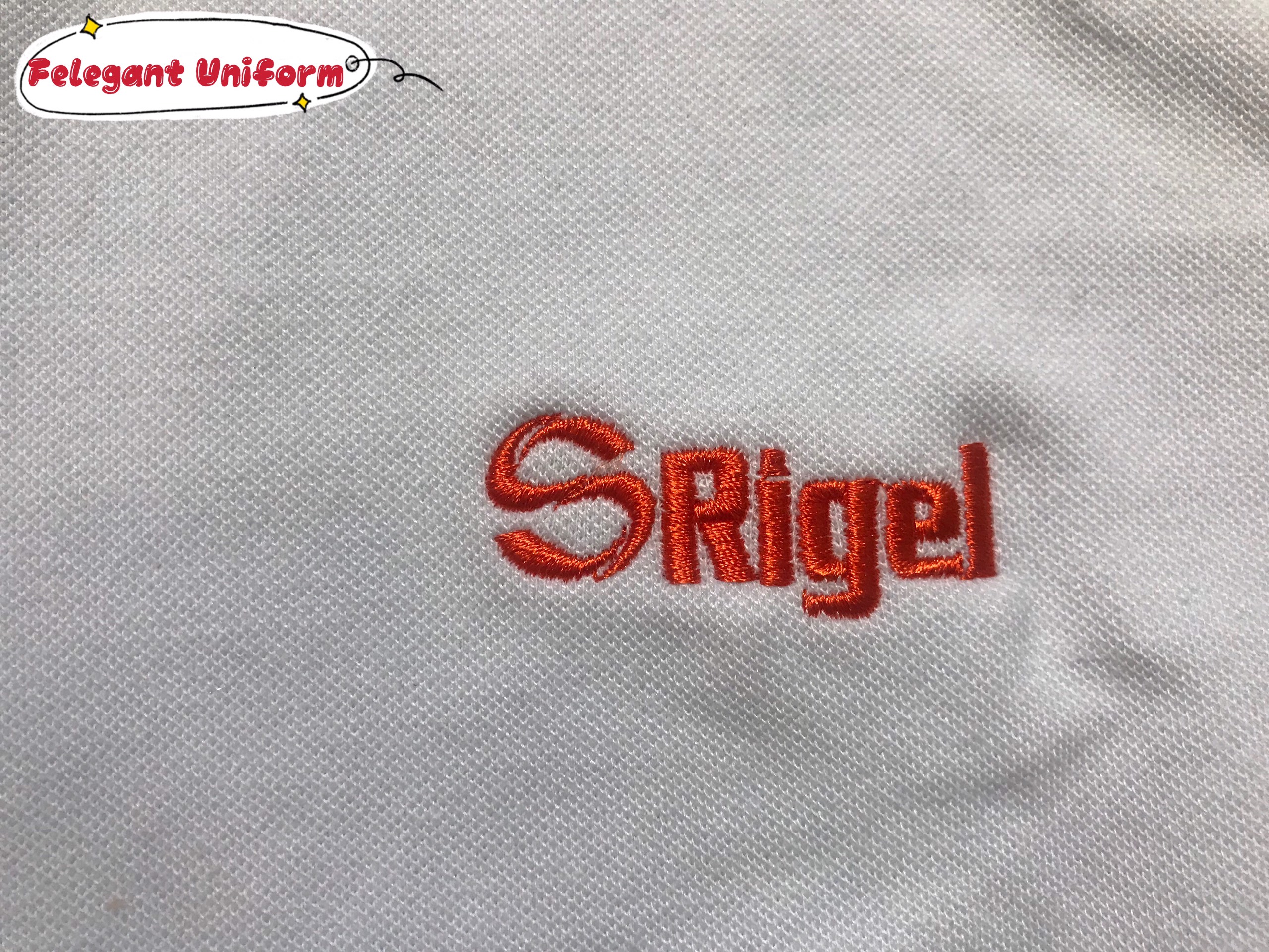 Hình ảnh đồng phục áo thun cá sấu Hình ảnh đồng phục áo thun cá sấu