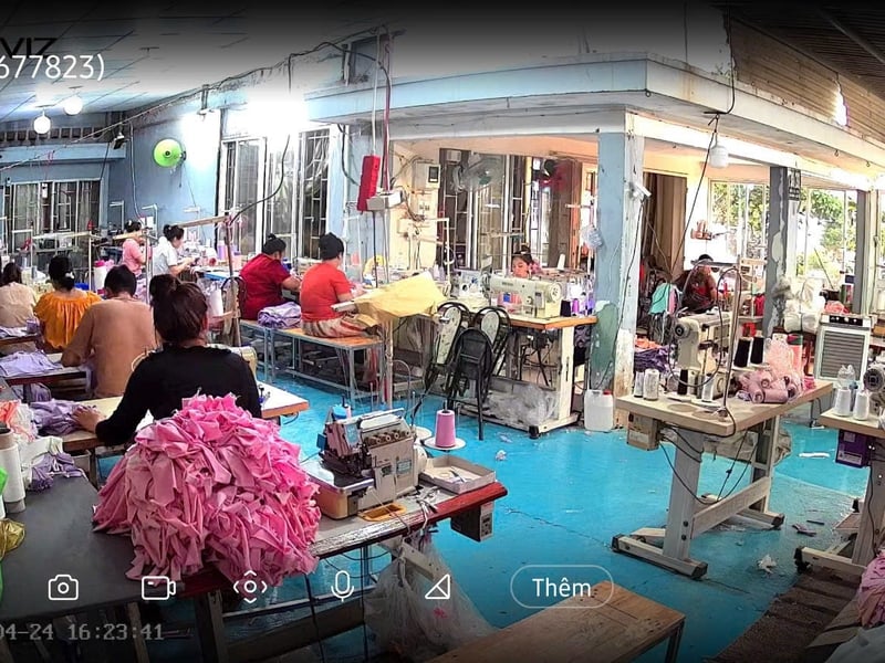 Giới thiệu về Felegant