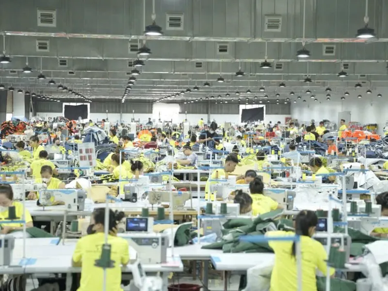 Giới thiệu về Felegant