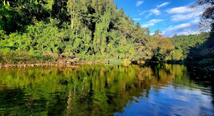 HỒ TIÊN LA NGÂU TREKKING CON SUỐI SIÊU ĐẸP RỪNG NÚI TÁNH LINH BÌNH THUẬN