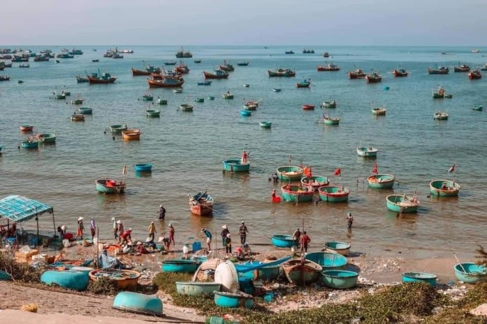 KINH NGHIỆM MUA ĐỒ BIỂN TẠI CHỢ HẢI SẢN LÀNG CHÀI MŨI NÉ