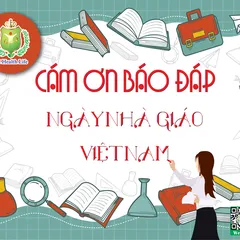 Chương trình khuyến mãi tháng 11/2023