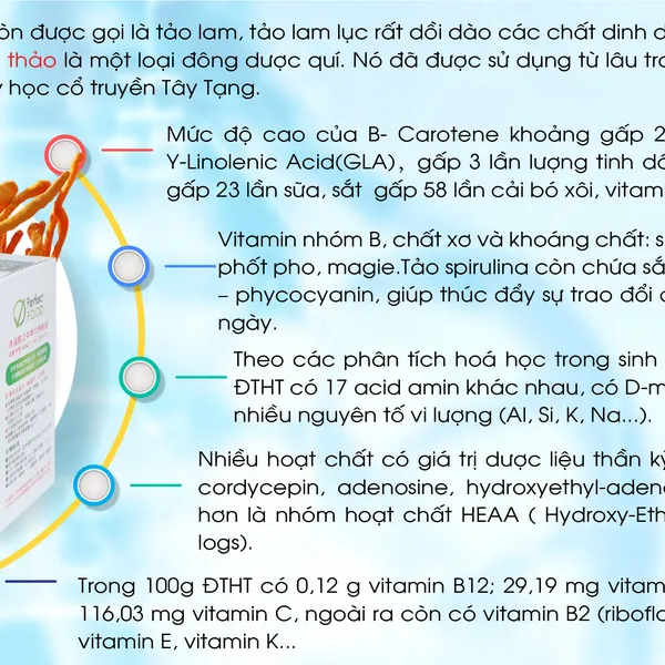 VIÊN TẢO LAM VÀ NẤM ĐÔNG TRÙNG HẠ THẢO HỮU CƠ