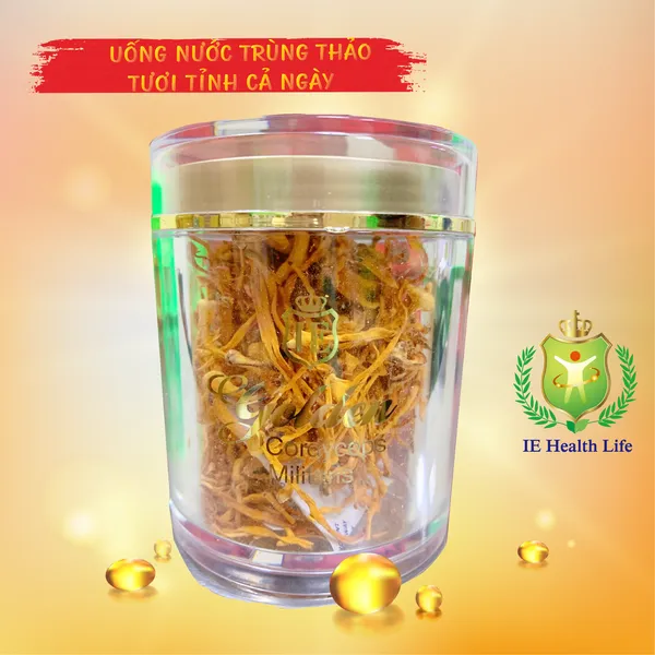 Đông Trùng Hạ Thảo Sấy Khô