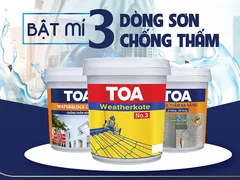 Sơn chống thấm TOA bảo vệ lâu dài cho công trình xây dựng