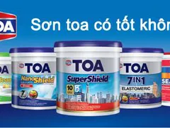 Bật mí thắc mắc: Sơn Toa có tốt không?
