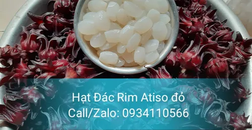 CÔNG DỤNG CỦA ATISO ĐỎ - Bí Quyết Tăng Cường Sức Khỏe Và Làm Đẹp Da