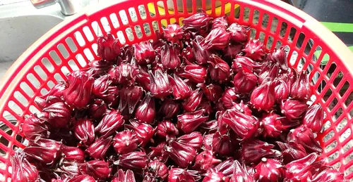 Siro Atiso Đỏ: Bí Quyết Giải Nhiệt Và Bảo Vệ Sức Khỏe Từ Thiên Nhiên