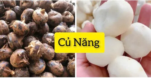 Cách Bảo Quản Củ Năng Tươi Đã Gọt Vỏ - Giữ Tươi Ngon Lâu