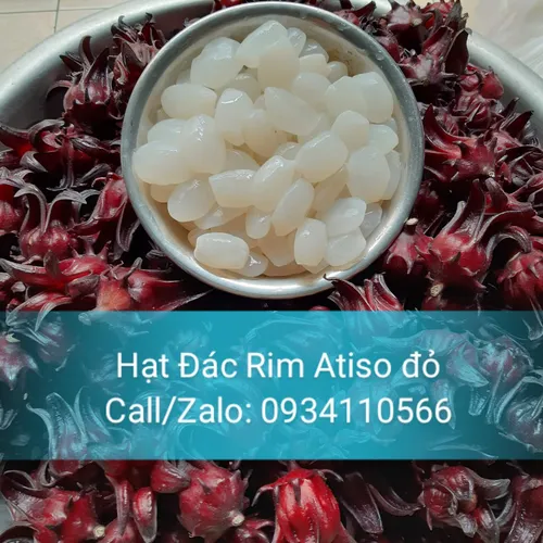 Hạt Đác Rim Atiso Đỏ