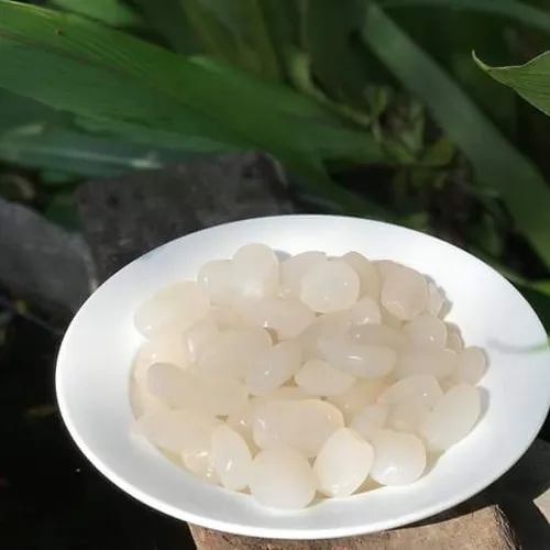 Hạt Đác Tươi - Hạt Dẻo, Không Cứng