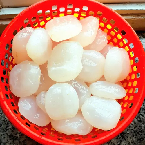 1 Kg Thốt Nốt Tươi (Gọt Sẵn) - Hàng Đông Lạnh