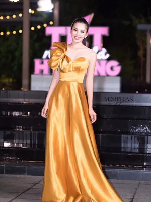 Đầm dài dự tiệc xòe phi nơ vai cực trẻ trung sang trọng