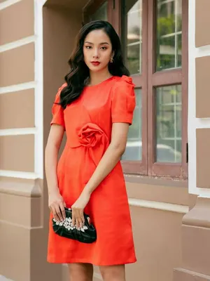 Đầm chữ A cổ thuyền tay ngắn dún đính hoa trước ngực